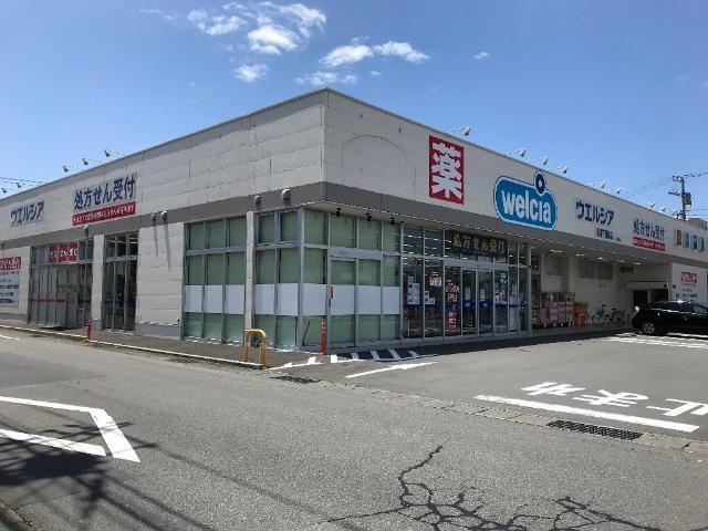ソラーナの周辺|その他「ウエルシア沼津下香貫店まで698m」