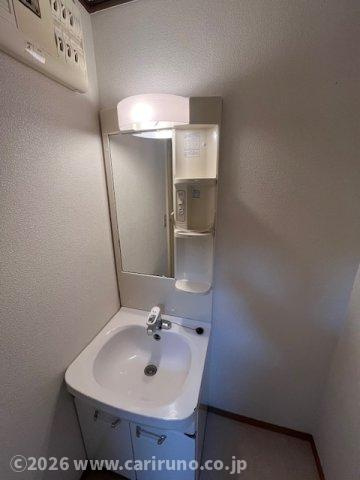 メゾンホソダBの洗面所