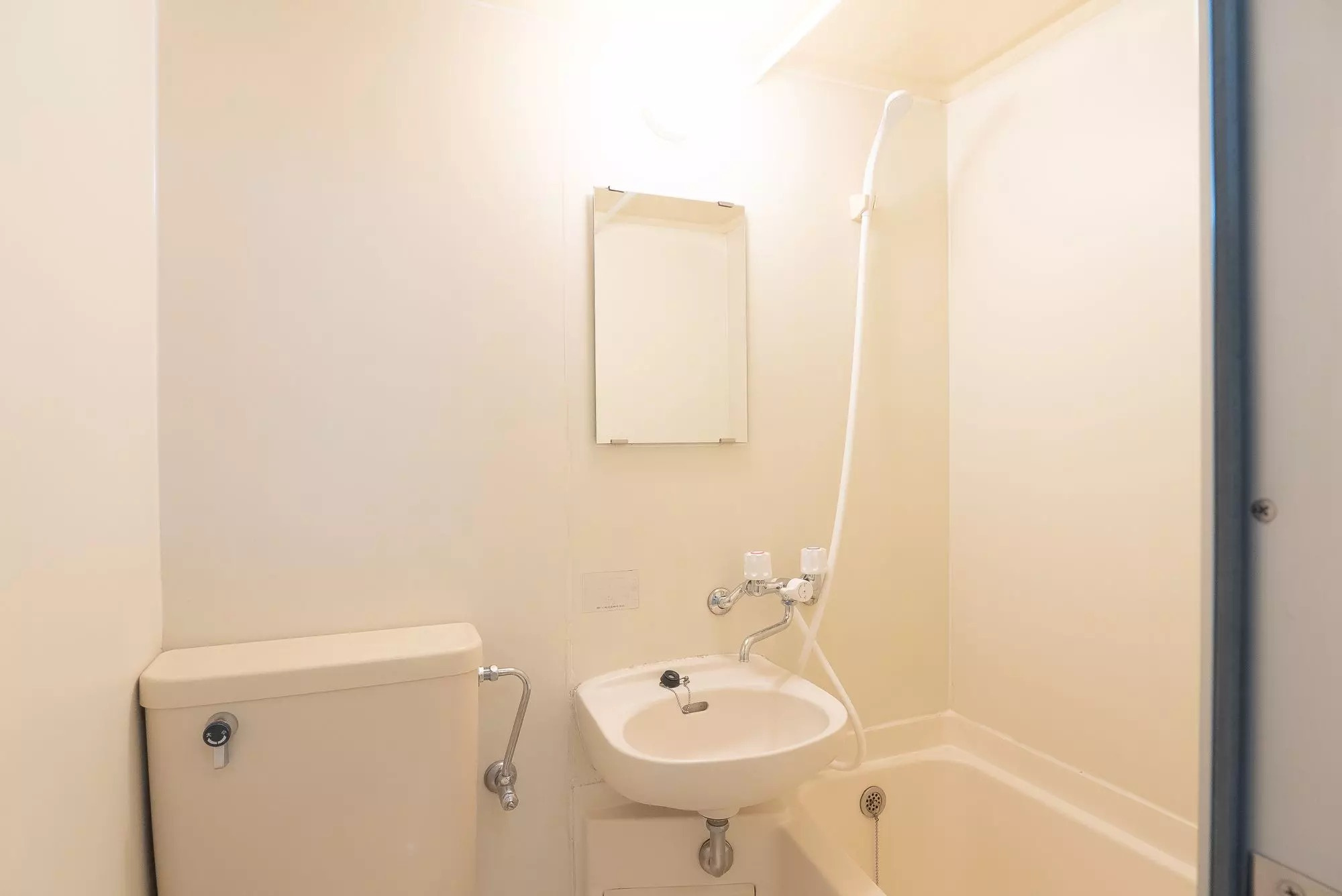 AP1524 ニューハウス志木 208のトイレ|





