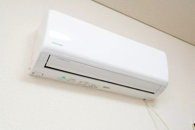 AP1238 ハイネスドモン 102の設備|






