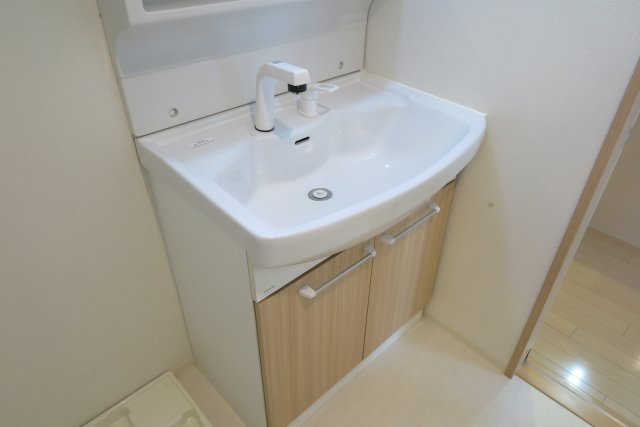 ラルジュルーセントオーデン難波の独立洗面台