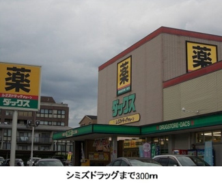 【周辺】 | エコー　ウエスト | シミズドラッグまで300m