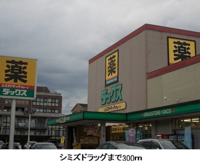 【周辺】 | エコー　ウエスト | シミズドラッグまで300m