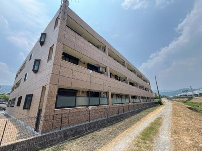 【外観】 | サンライト川向井 | 外観写真（昼）