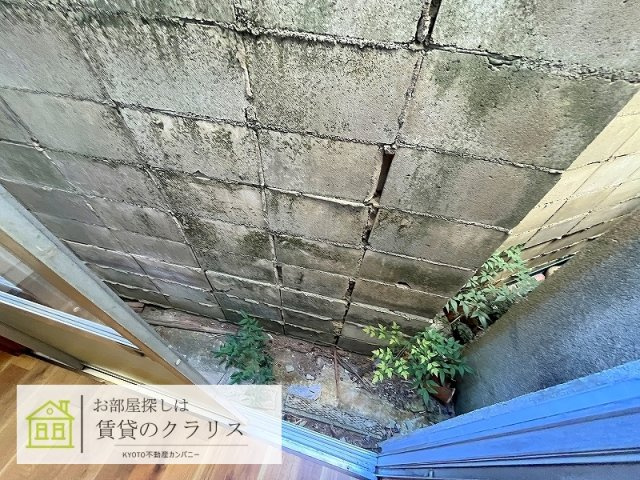 川島リノベ貸家の庭