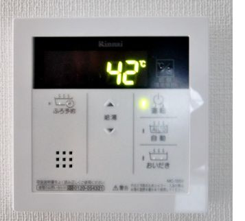 ホヌオハマのその他
