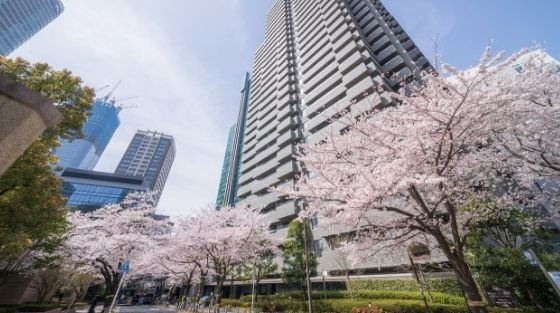 港区六本木１丁目の賃貸マンション