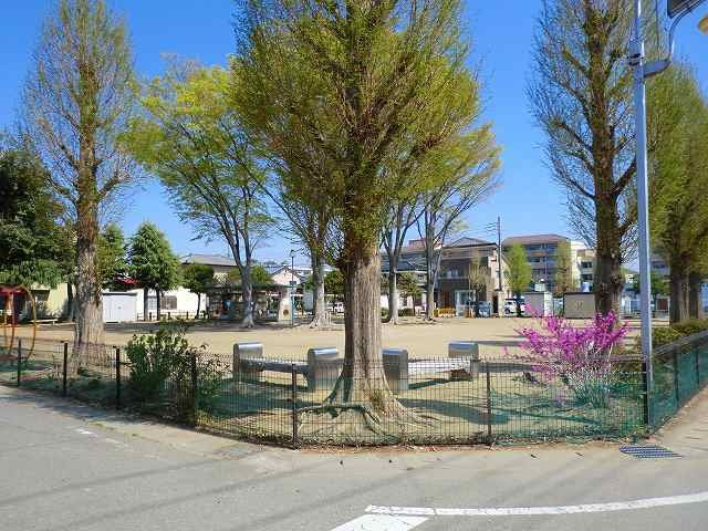 エクラの周辺|いちょう公園まで70m