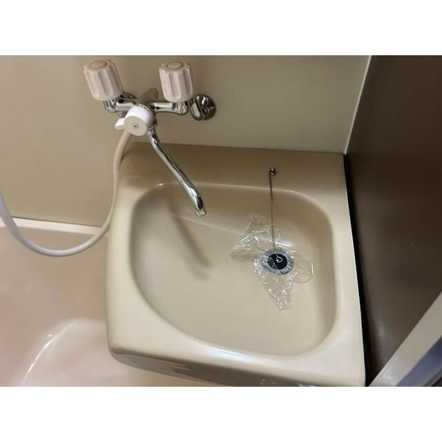 テラス大成の洗面所