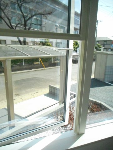 アリッサムの展望