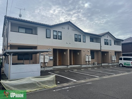 アンプルールリーブルサクラージュⅡ