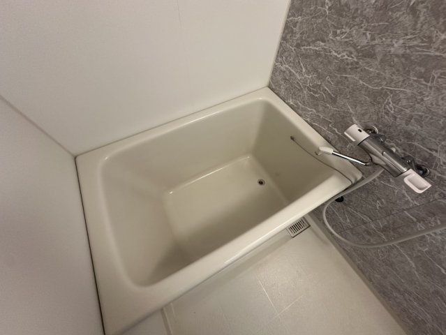 S-RESIDENCE谷町五丁目の浴室
