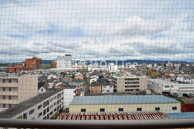 【展望】