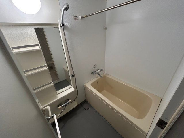 南堀江アパートメントシエロの浴室