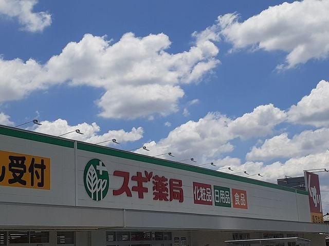 レユシール　エムの周辺|スギ薬局まで600m
