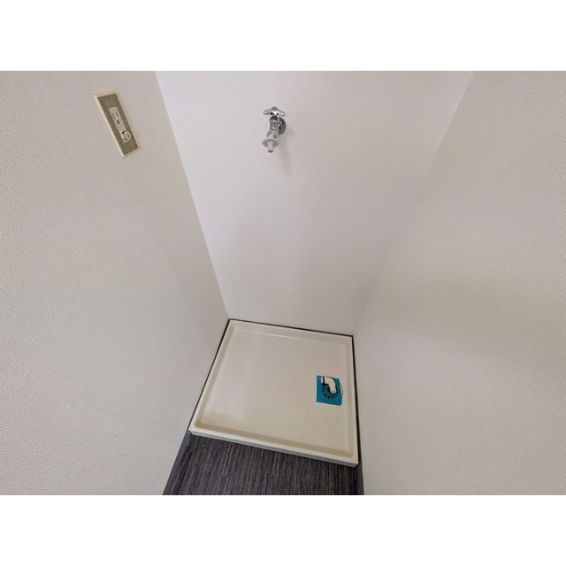 ヴェルデのその他