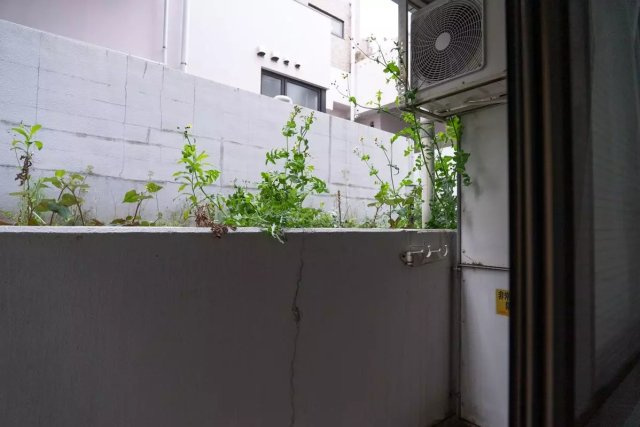 AP1297 ペガサスマンション十条 103のバルコニー|




