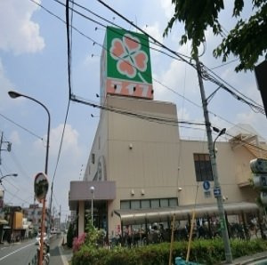 ピアチェーレ光が丘の周辺|ライフ土支田店まで1100m