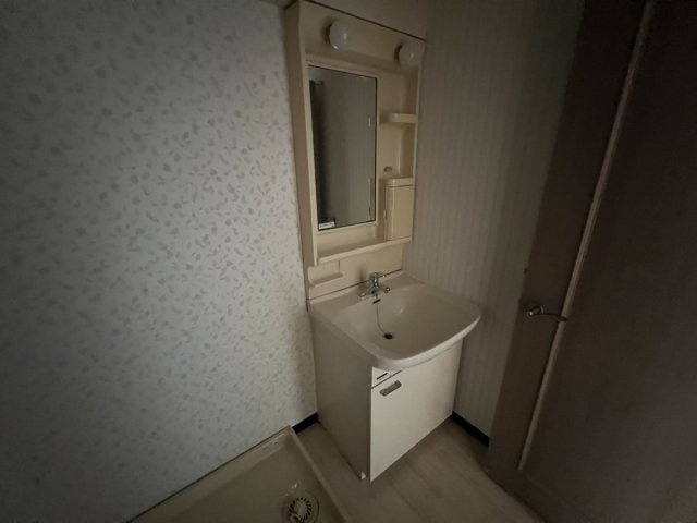 グレースマンションエルフの洗面所