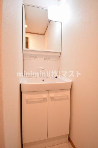 ドゥエリング上汐の洗面所