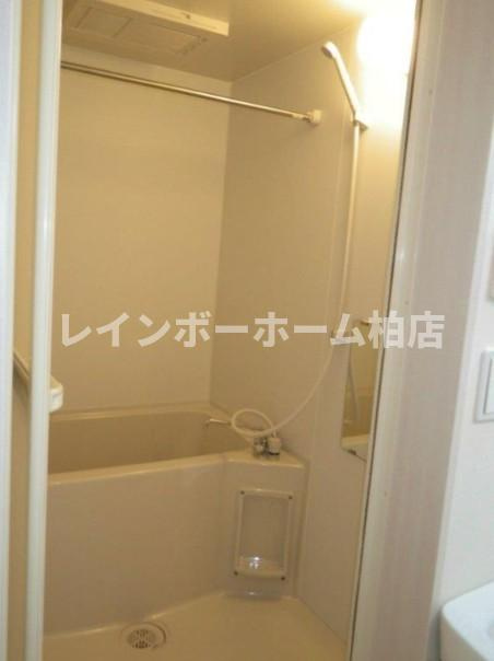 特典：仲介手数料が無料です!!の浴室|お風呂です