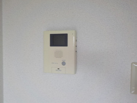 ミリアビタＮＯ．１１のセキュリティ