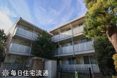 【展望】 | 藤
