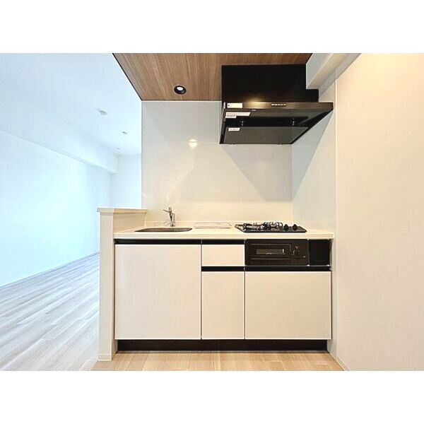 名古屋市中区金山２丁目の賃貸マンションのキッチン