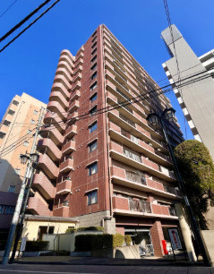 セラード川越連雀町　中古マンション　11階の外観
