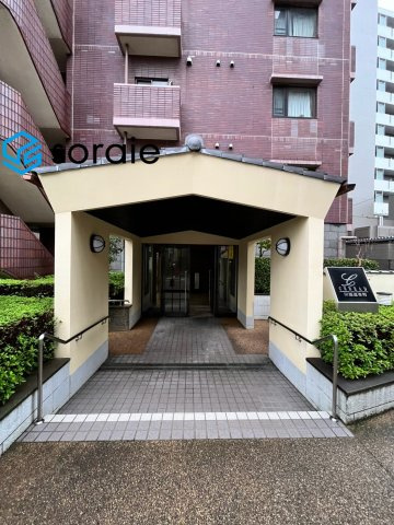 セラード川越連雀町　中古マンション　11階|9/7　撮影