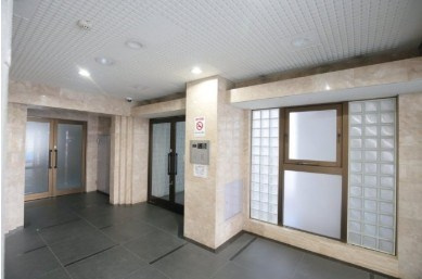 【その他】スカイノブレ川崎柳町
