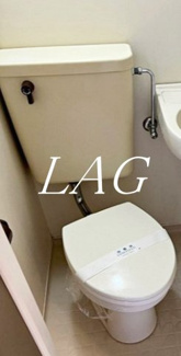 【トイレ】 | パークハイツ日本橋蛎殻町 | トイレです。
