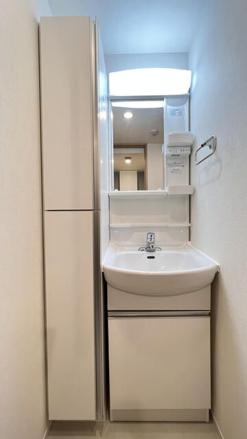 クリスタルコート大山の洗面所