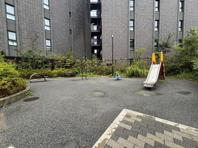  | 古沢都古さくら公園