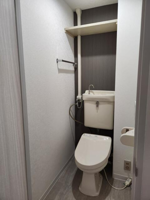  | コーティング済み