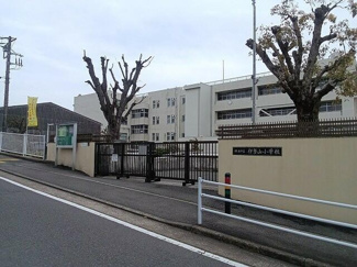  | 横浜市立下和泉小学校まで719m