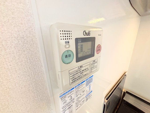 アメリアのその他