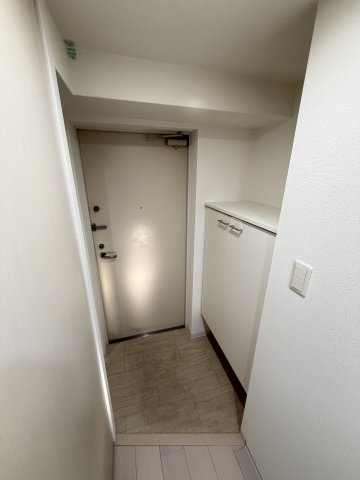 ラシュレエグゼ難波西の玄関