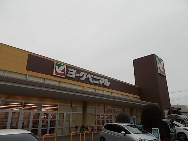 リバーシャトーの周辺|ヨークベニマル赤塚店まで850m