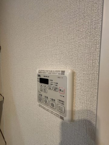 ジョリスヴニールのその他