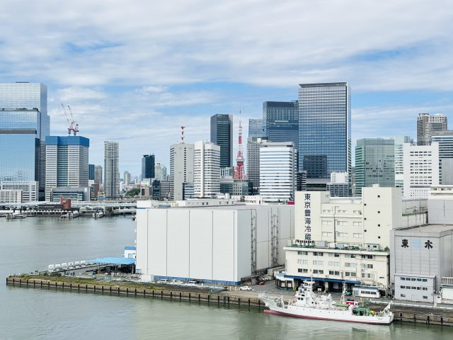 【物件からの展望】