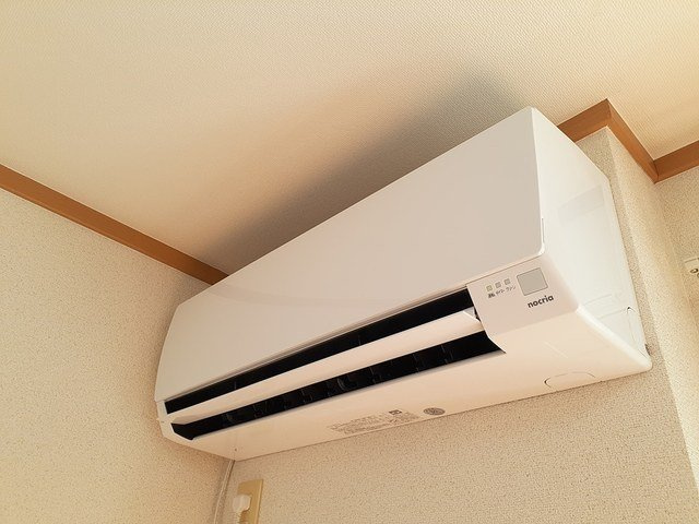 コデンのその他