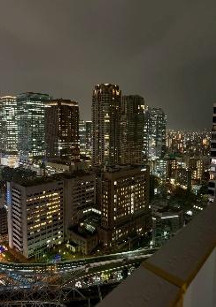 ザ・ファインタワー梅田豊崎の展望