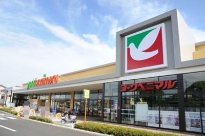 【周辺】 | シャルマン・Ｙ | ヨークベニマル水戸浜田店まで850m