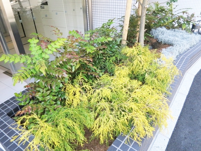 ラクラス赤羽のその他|緑があって癒されますね☆