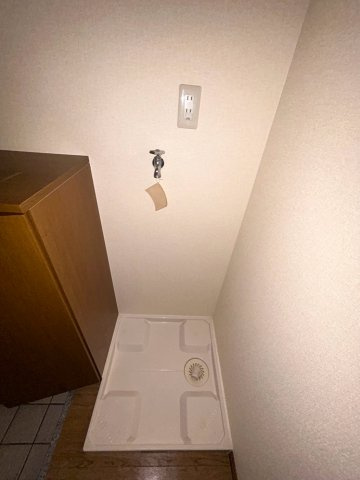 エレガンス白鳥のその他