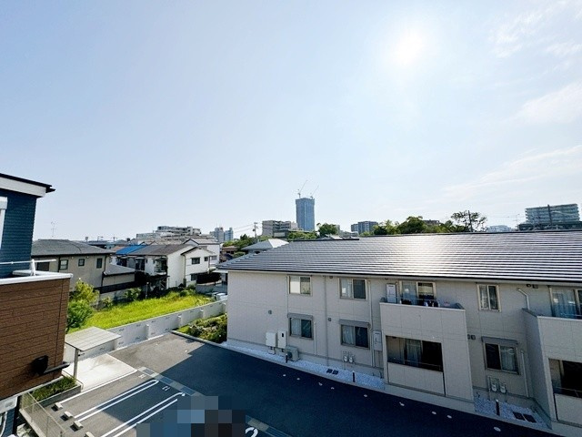 【展望】 | Sunbloom Neo