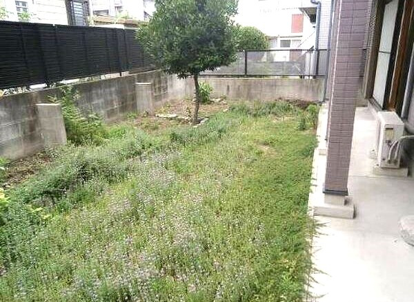 千種区穂波町一戸建の庭