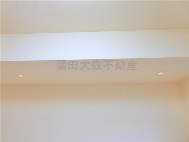 ルーブル仲六郷弐番館の設備|ダウンライト照明