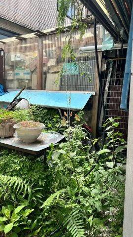 静かな路地奥の住まい～神奈川県藤沢市藤が岡２丁目～の庭|緑豊かでガーデニングの夢が膨らむお庭スペース